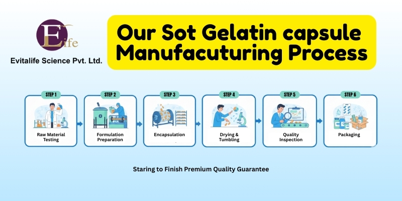 soft gelatin capsule manufacturing process